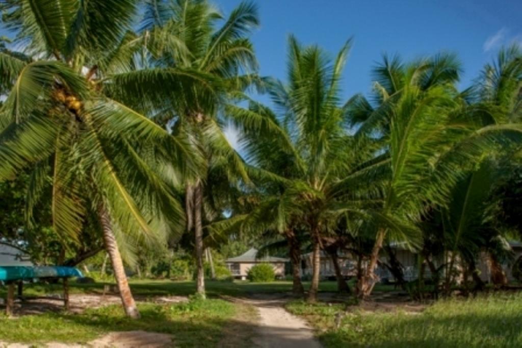 Le Vasseur La Buse Eco Resort Anse la blague Exteriör bild